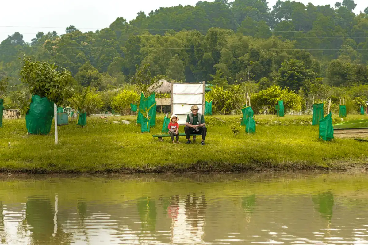 Unplug & Play: Picnic Edition